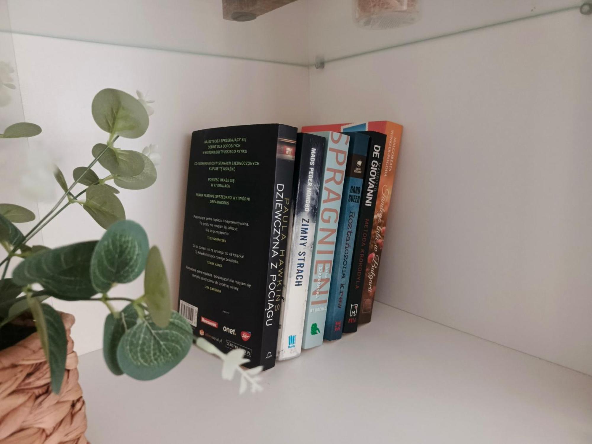 Apartament Pod Trzynastka 옐레니아구라 외부 사진